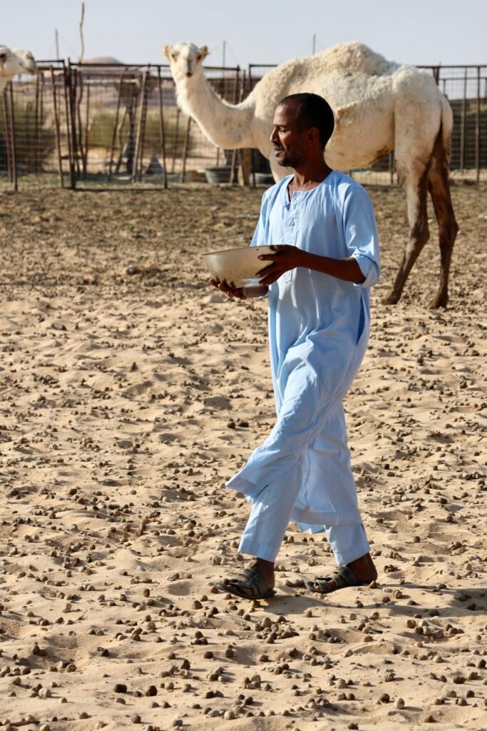 saoedi arabië 2025 11 10 (253)